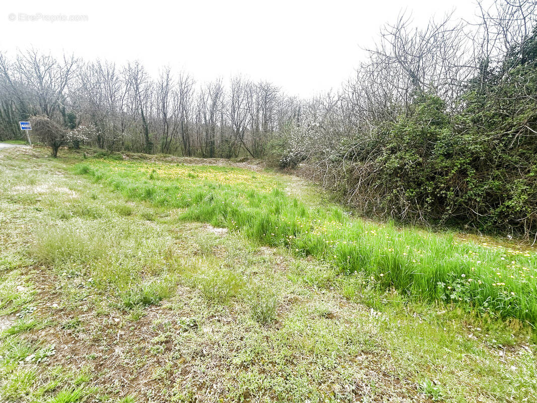 Terrain à DOMME