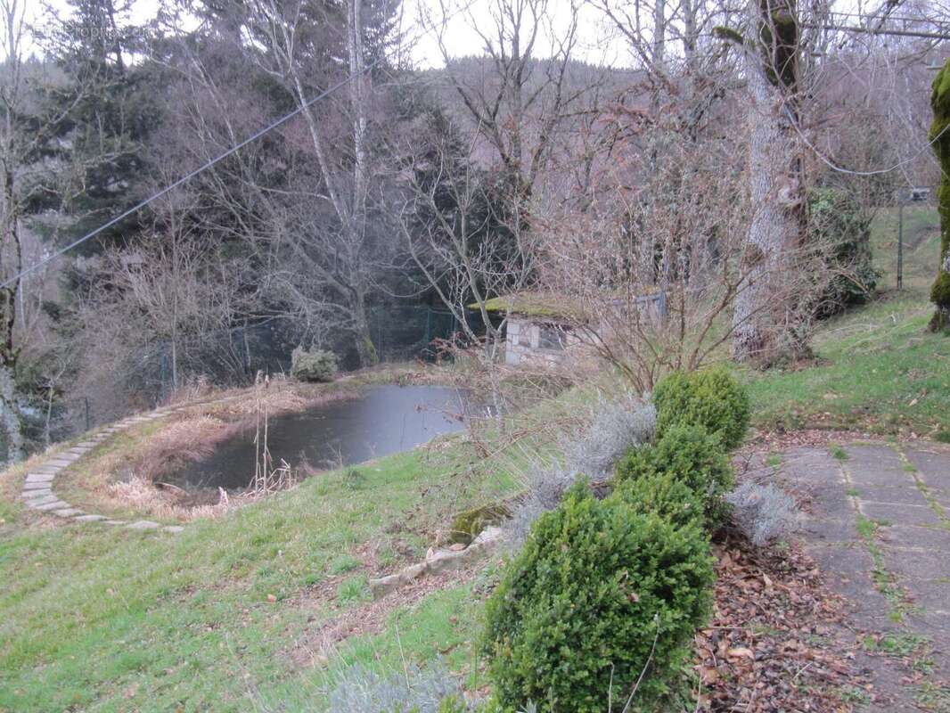 Maison 126 m² à Vollore-Ville  - photo 3