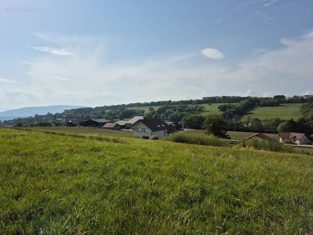 Terrain à SAINT-BLAISE
