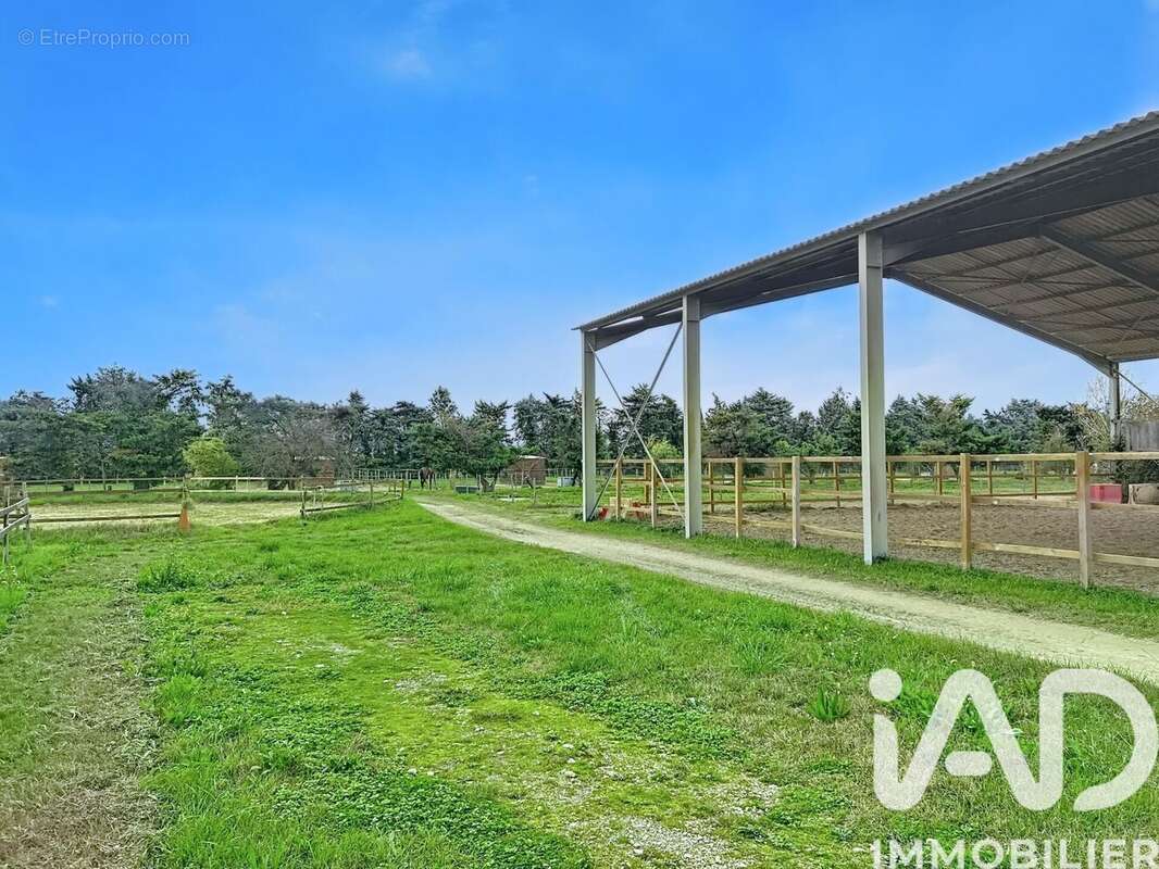 Photo 5 - Maison à MAILLANE