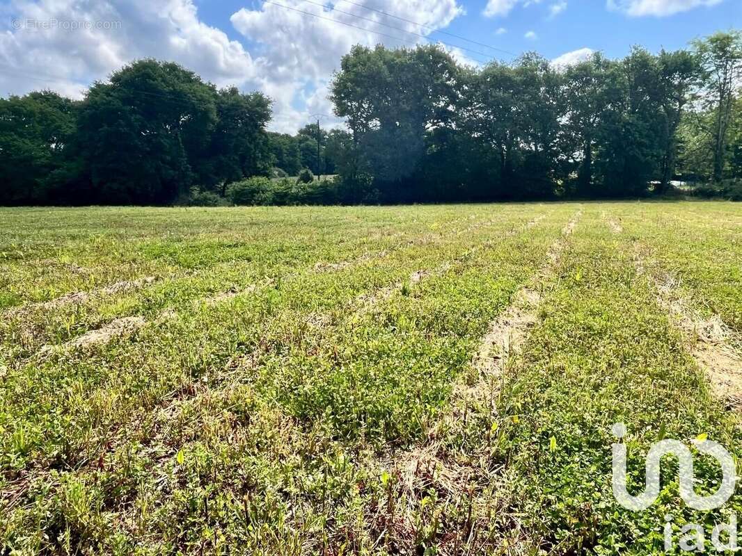 Photo 9 - Terrain à SAULT-DE-NAVAILLES