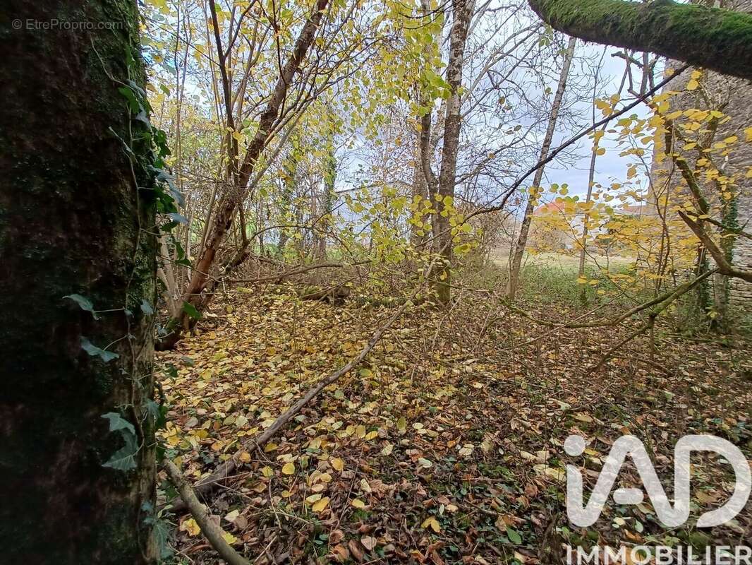 Photo 3 - Maison à OZIERES