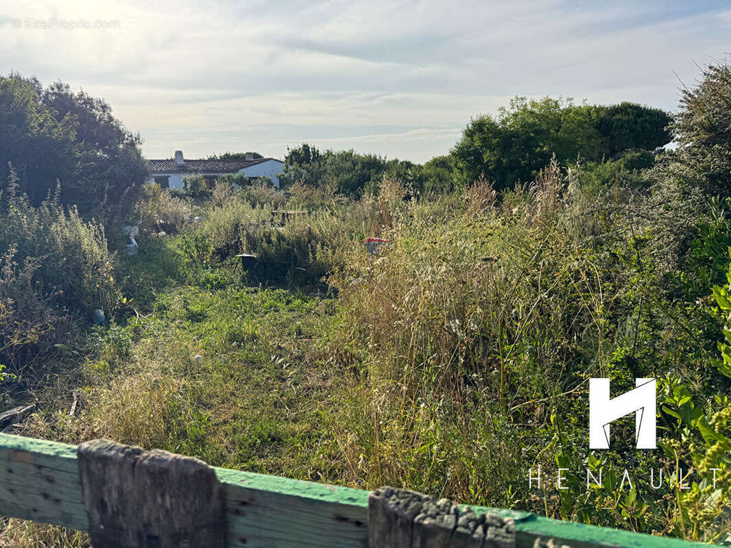 Terrain à SAINTE-MARIE-DE-RE