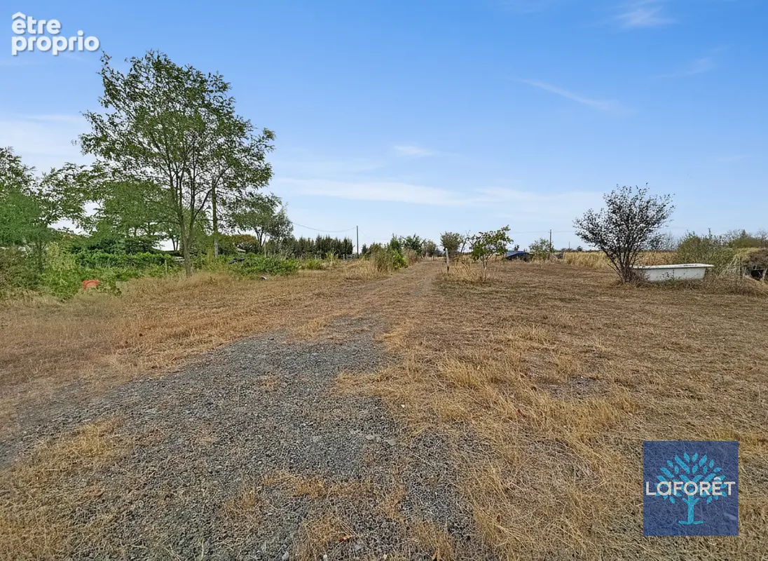 Terrain Sainte Florence 5015 m² - photo 3