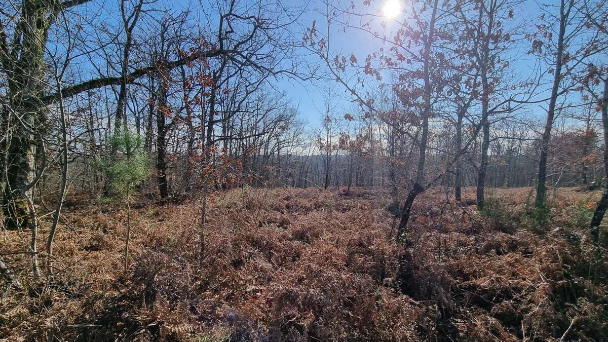 Terrain à VERGT