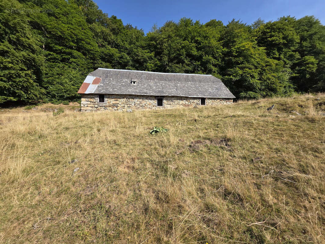 Grange sur les hauteurs en Val d'Azun - photo 9