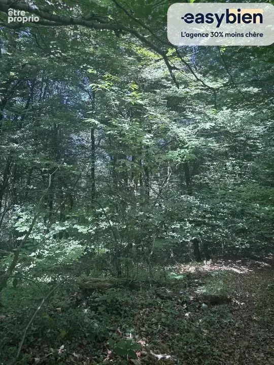 Bien immobilier à vendre à Lucgarier (64420) - photo 4
