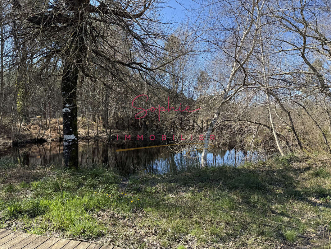 À 20 minutes de Lacanau, sur plus de 10 hectares, écurie de propriétaires avec maison de 80 m2 et installation - photo 22