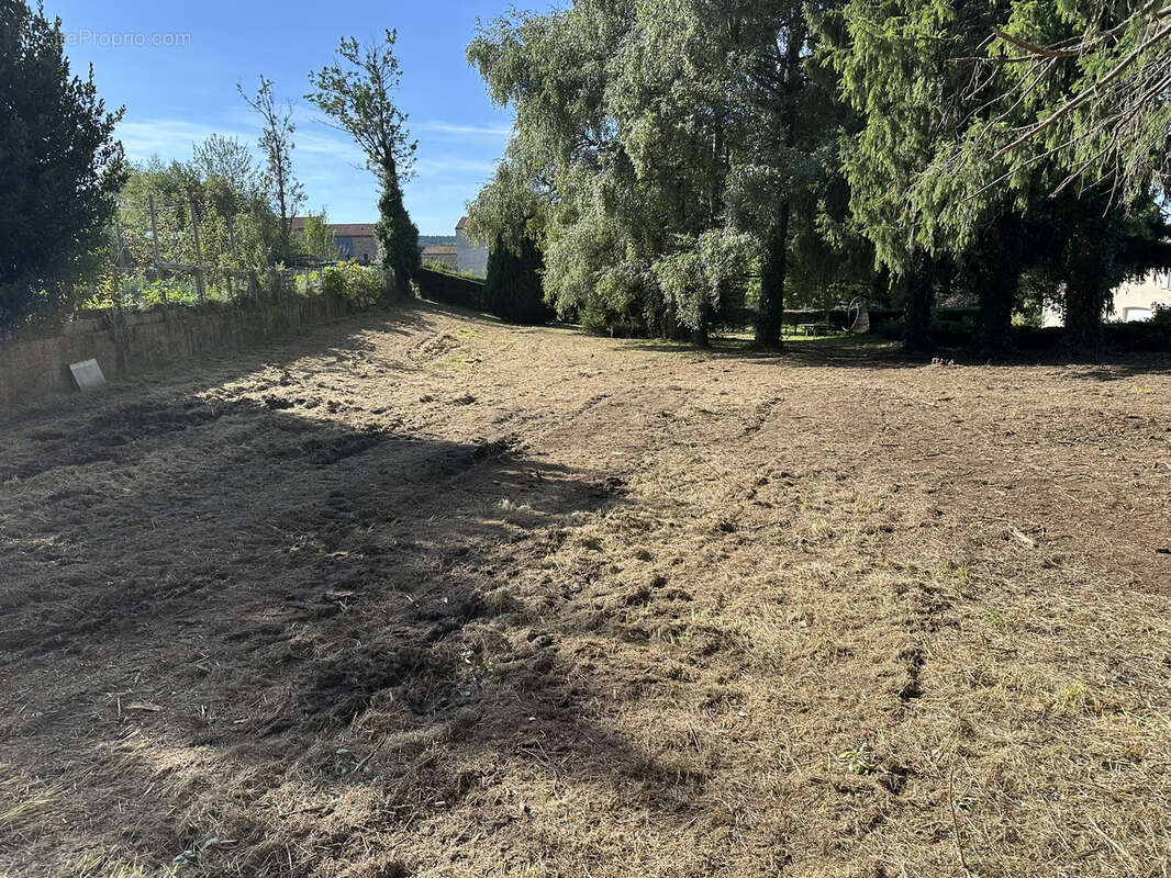 Terrain à SAINT-JUST-MALMONT