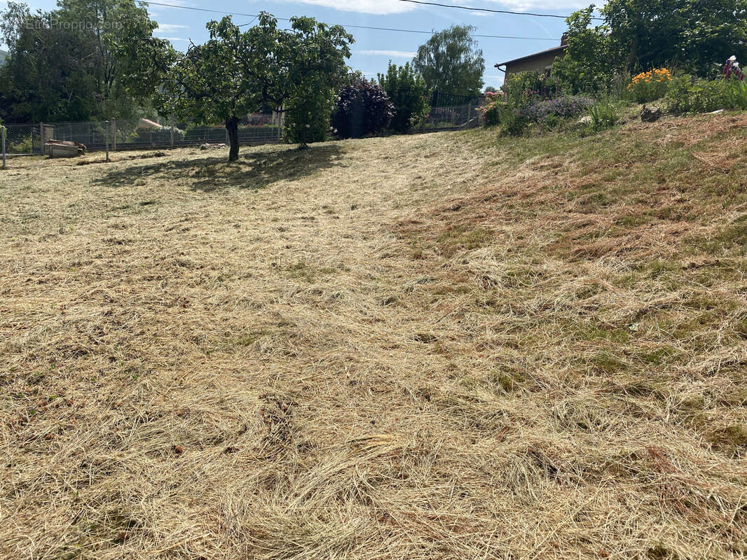 Terrain à PONTCHARRA-SUR-TURDINE