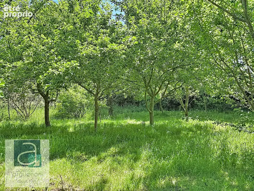 LANRELAS - Maison familiale et jardin bucolique à quelques minutes de Broons - photo 7