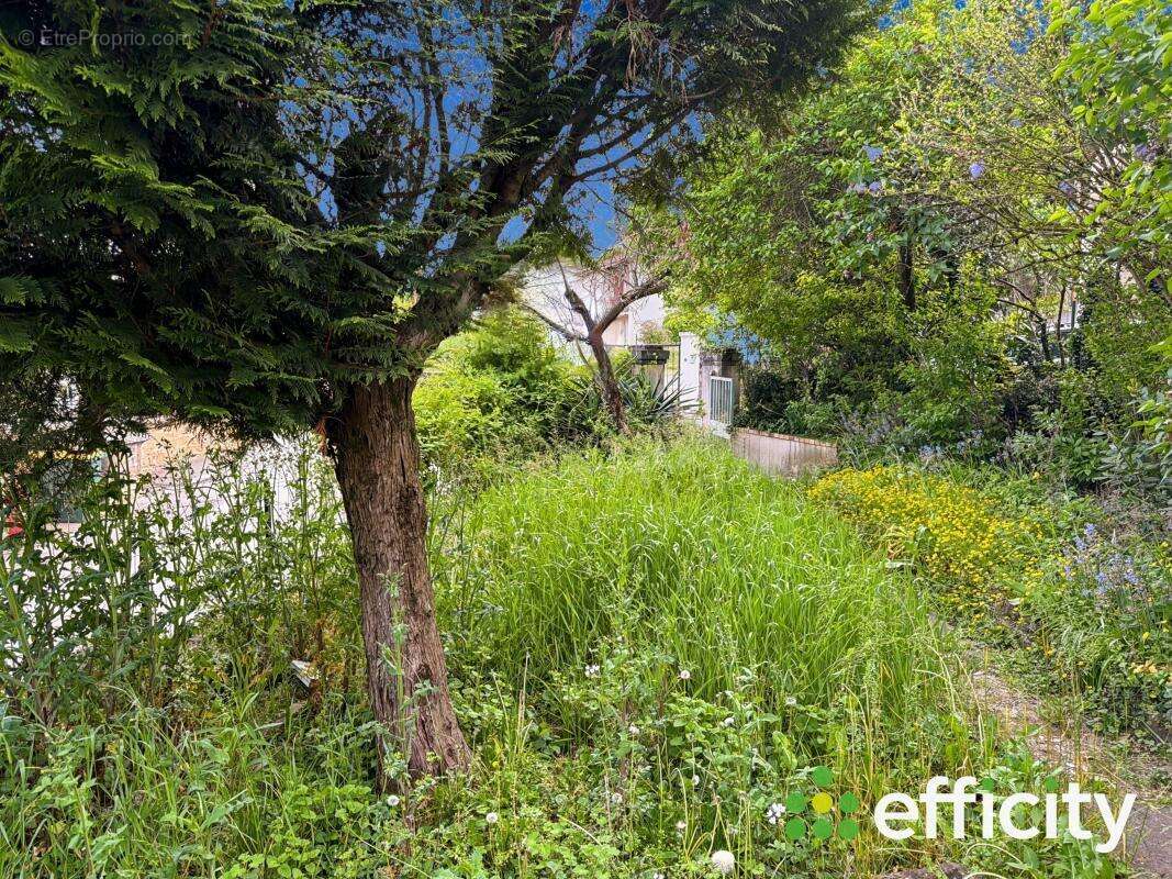 Appartement à ALBIGNY-SUR-SAONE