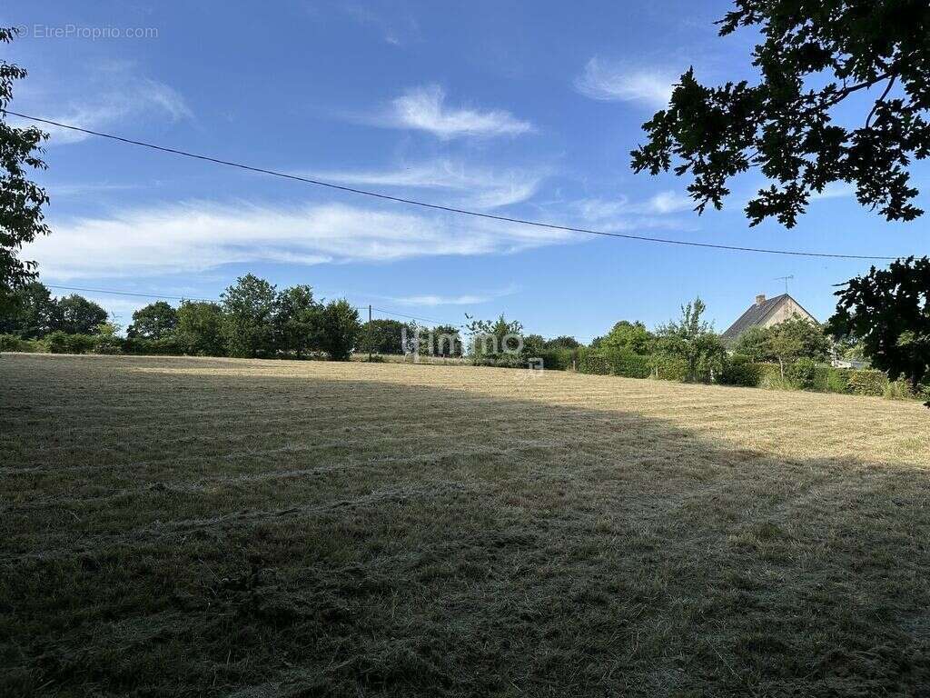 Terrain à SAINT-BOMER-LES-FORGES