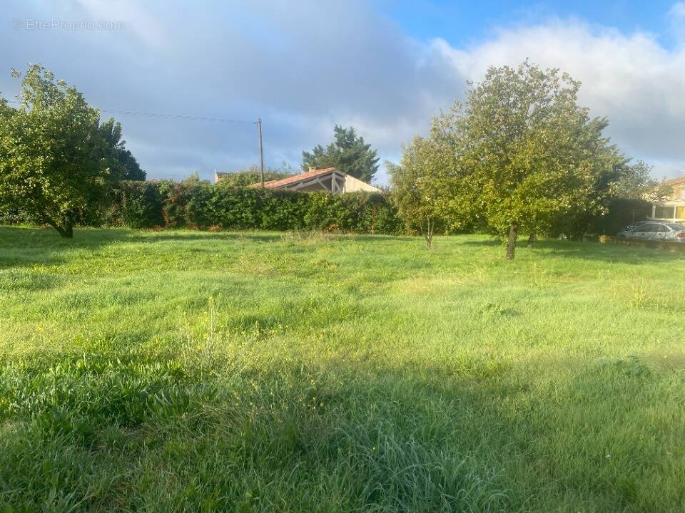 Terrain à MALLEMORT