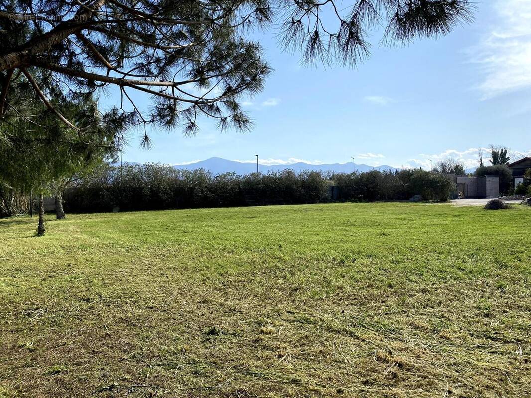 Photo 1 - Terrain à ELNE