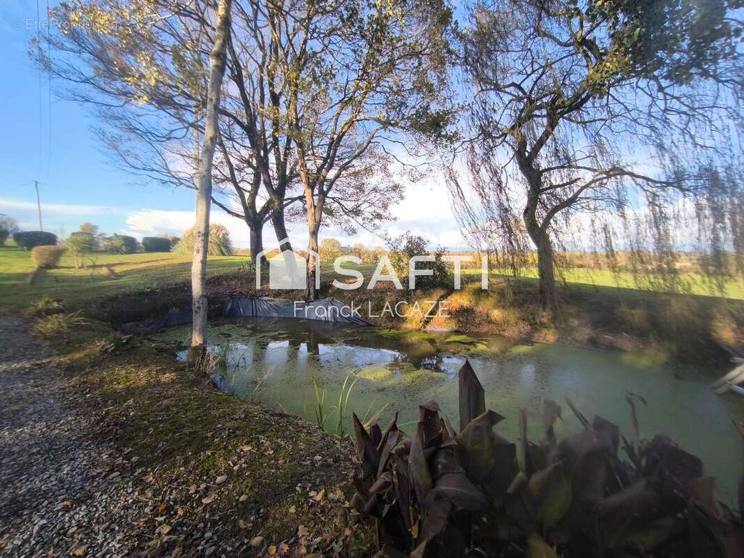 Photo 8 - Maison à MARGOUET-MEYMES