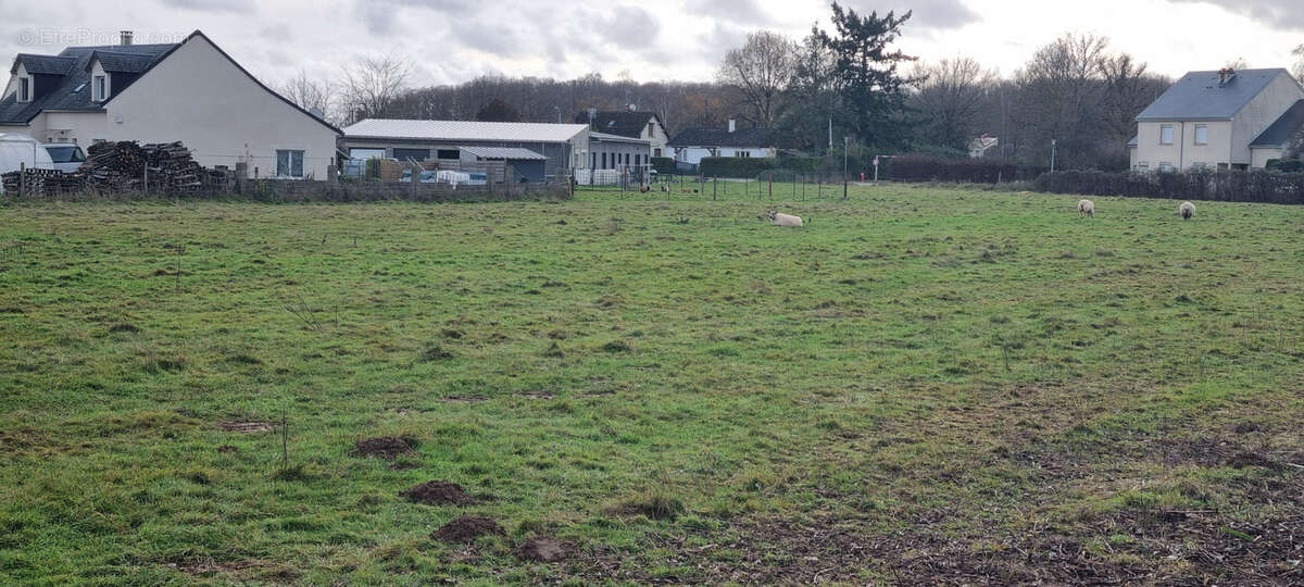 Terrain à LA VILLE-AUX-CLERCS