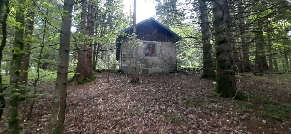 Terrain à GERARDMER
