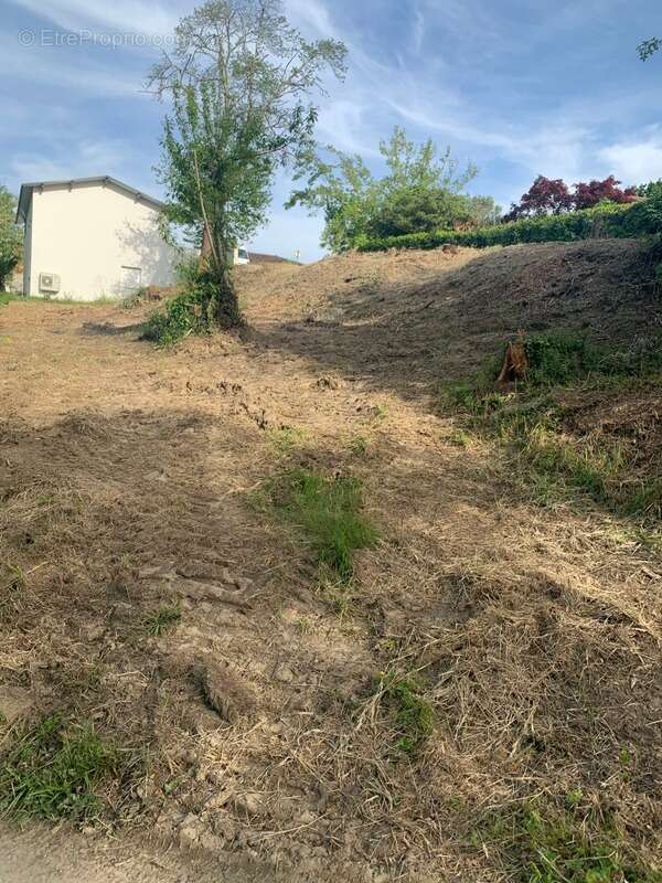 Terrain à NARROSSE