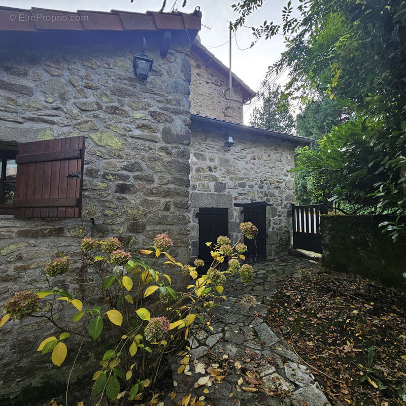 Maison à SAINT-SYLVESTRE