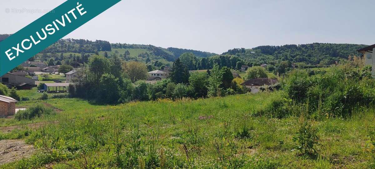 Photo 2 - Terrain à MEILLONNAS