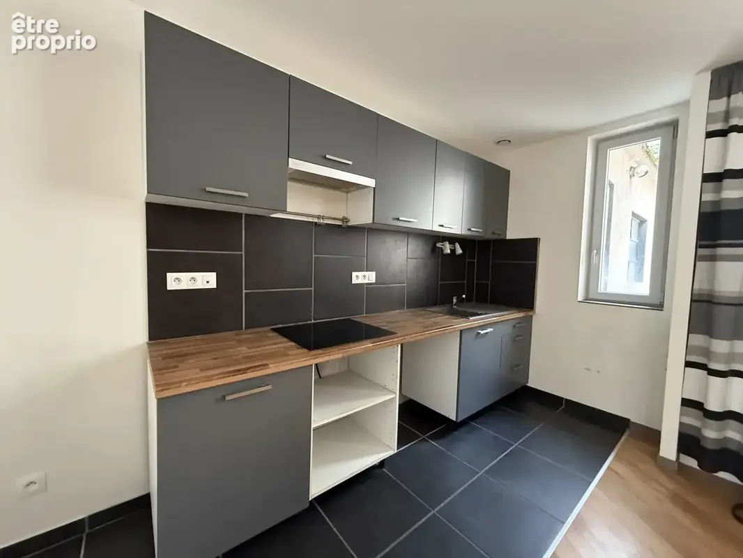 En exclusivité   immeuble de rapport à neuville-sur-ain - photo 3