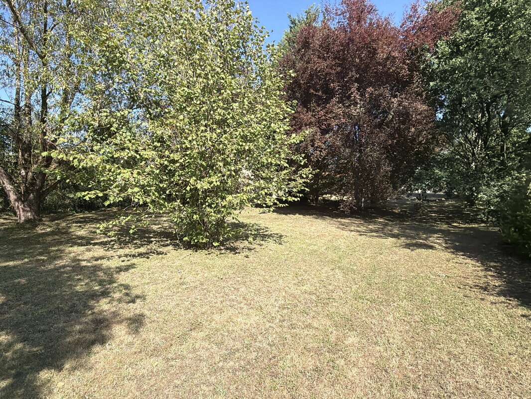 Maison spacieuse de 4 à 5 chambres, cuisine équipée, grands jardins - photo 22