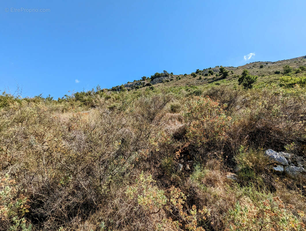 Terrain de 68490 m2 NON CONSTRUCTIBLE, Vence 06140 - photo 5