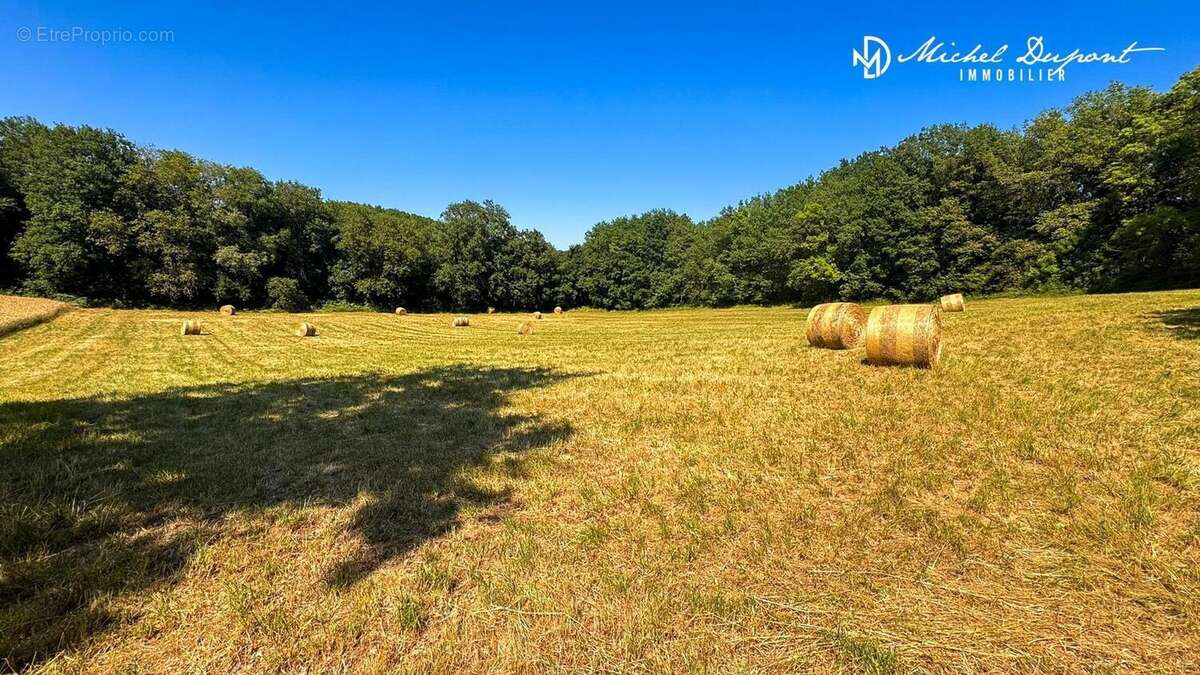 Terrain 11852 m² à Limeuil  - photo 2