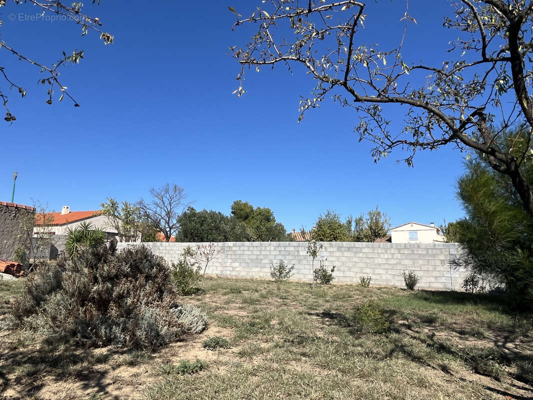 Terrain à LE BOULOU