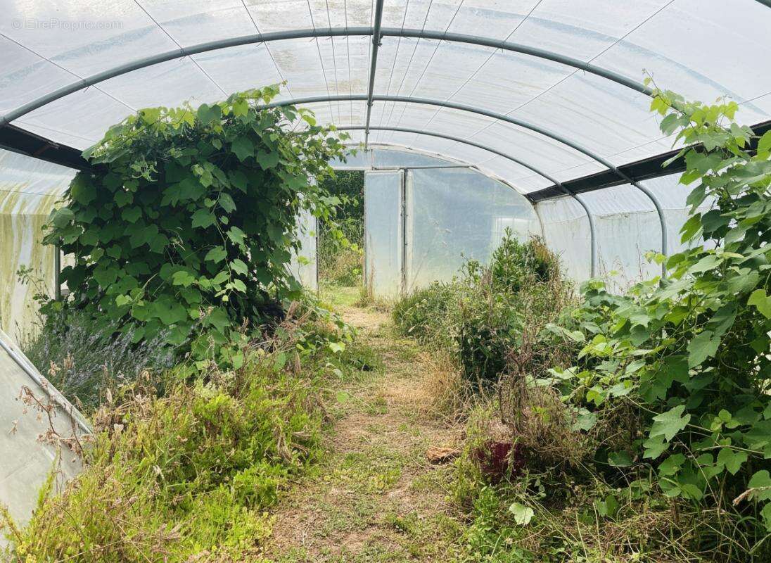 Maison à SAINT-GILLES