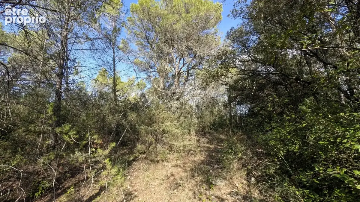 SALERNES : Terrain non constructible 20.618m² - photo 6