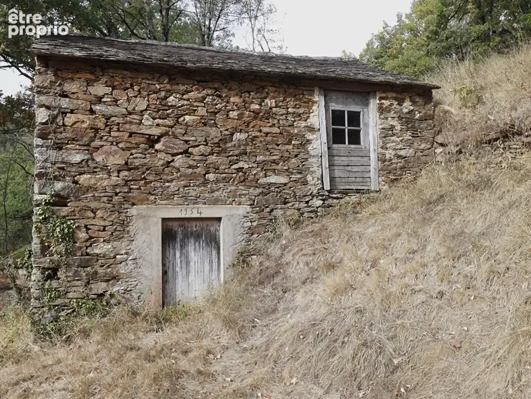 Lacaze - terrain agricole avec grange en pierre - photo 2