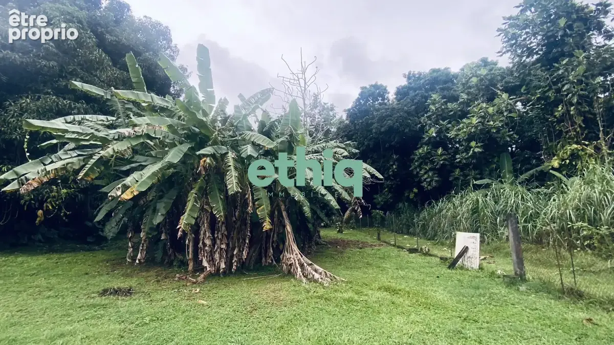 Photo Terrain à Petit-Bourg au prix de 165 000€