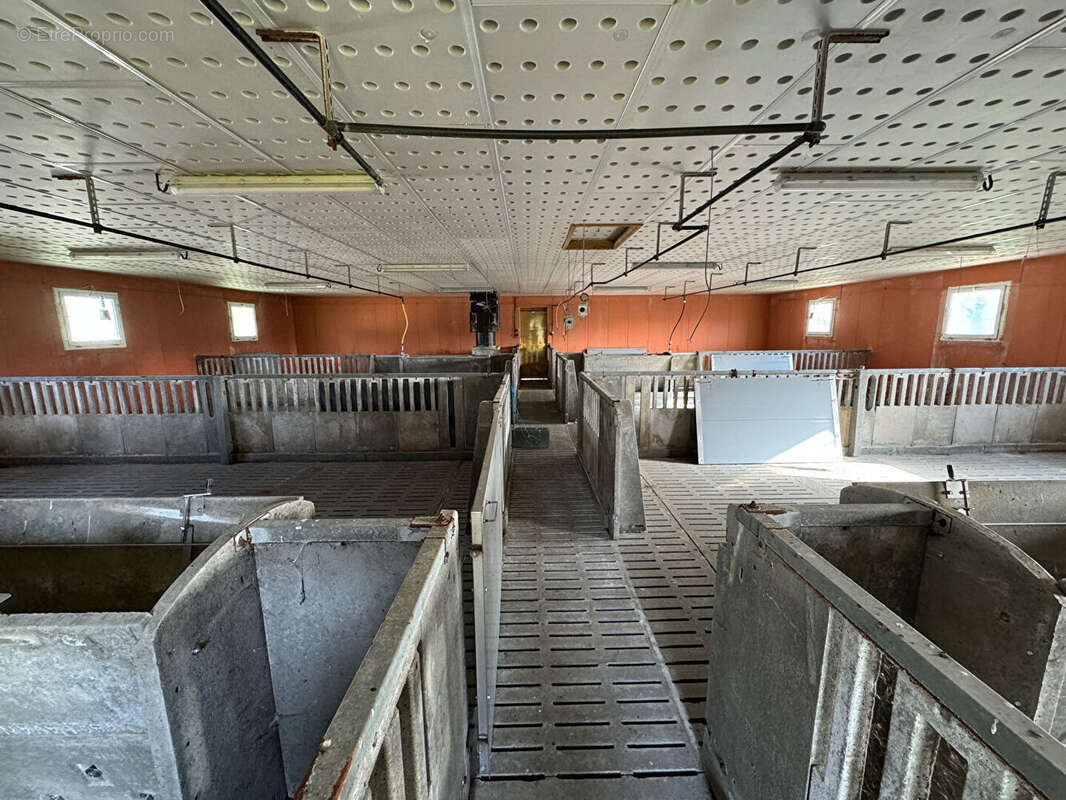 Commerce à MAZEIRAT