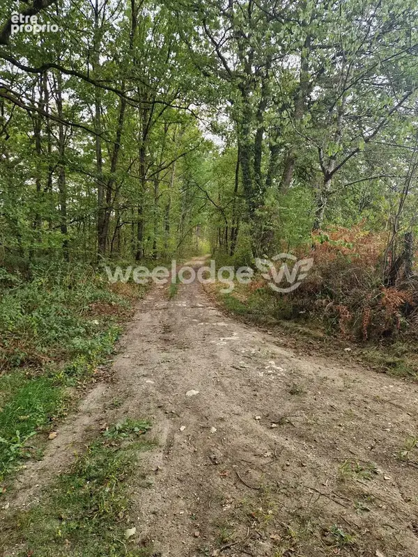 Terrain 81 000 m² à vendre à Velles (36330) - photo 3