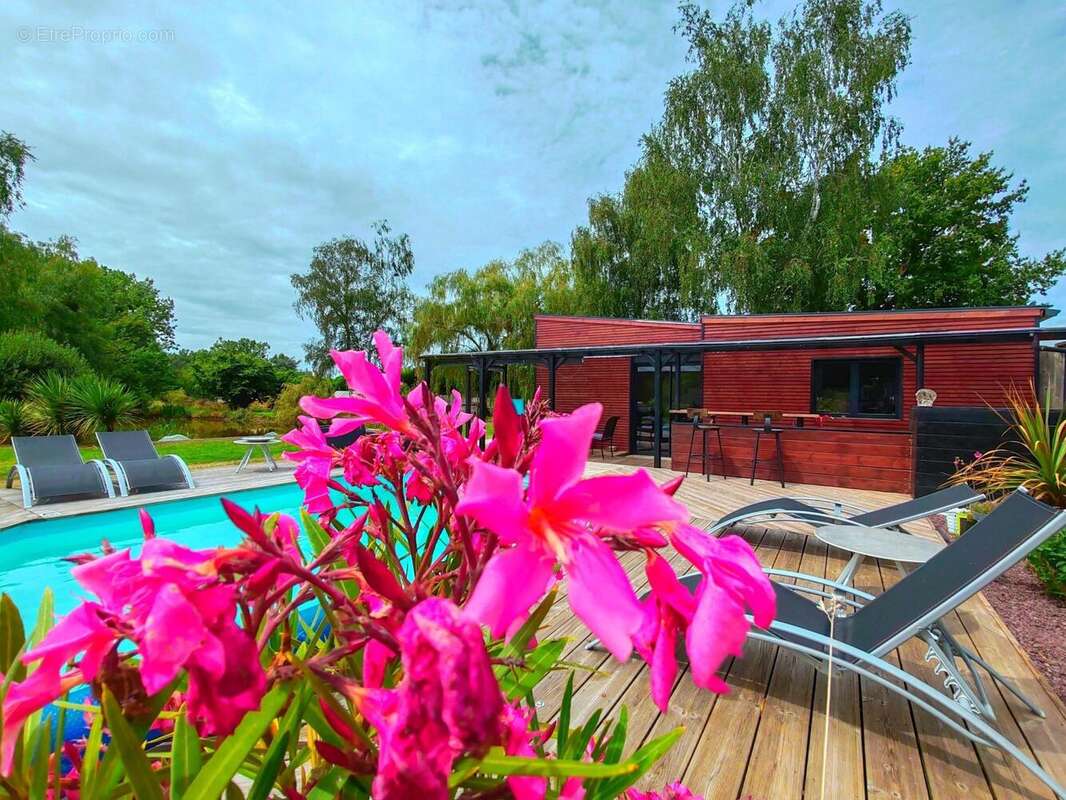 Photo 2 - Maison à BAUGE