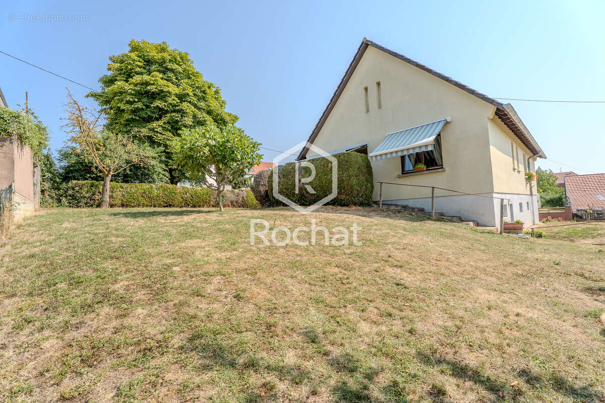 Durningen   maison individuelle en viager occupé   4 pièces   103,5 m2   terrain de 680 m2 - photo 15
