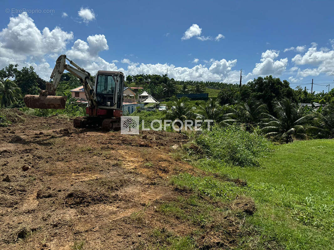 Terrain à LE LAMENTIN