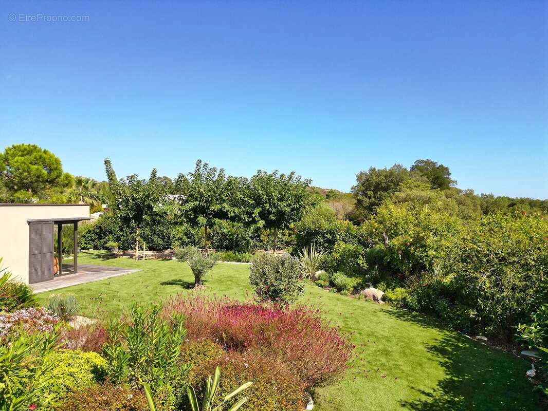 Maison à PORTO-VECCHIO