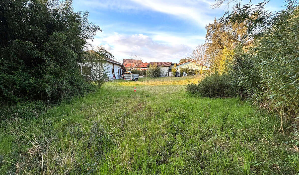 Photo 4 - Maison à LABENNE