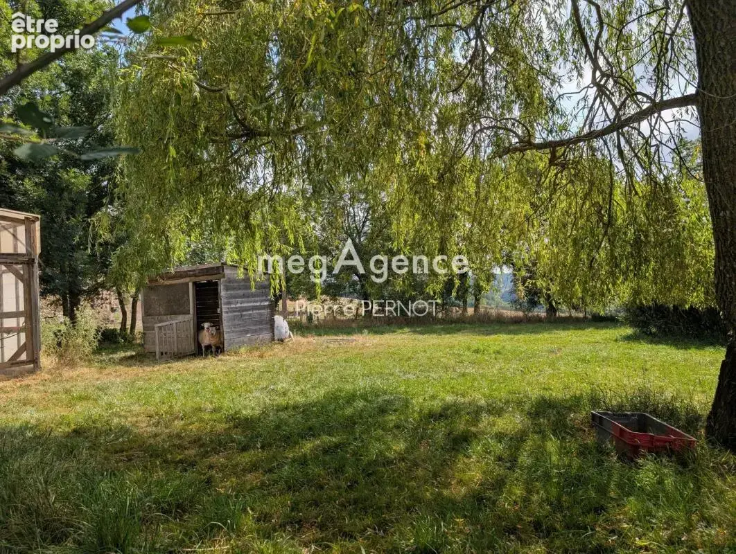Maison en pierre avec Gîte à 15 minutes d'Albi sur parc d'un hectare - photo 16
