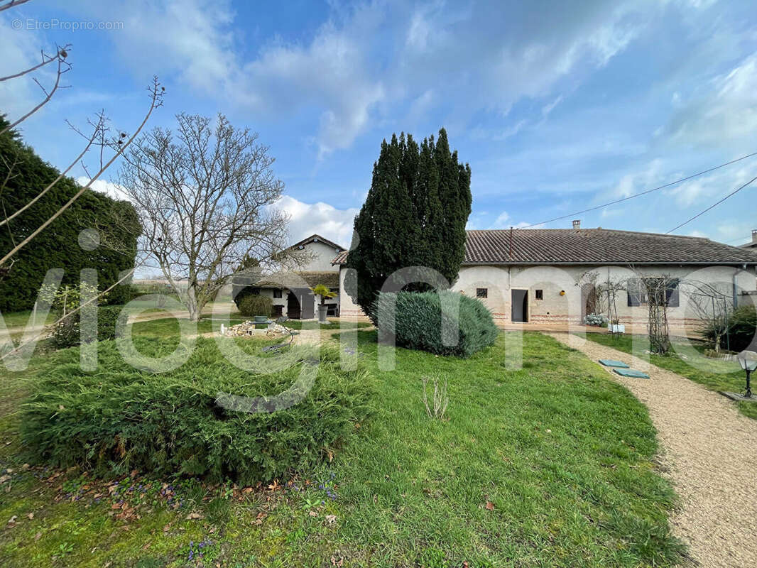 Maison à SAINT-DIDIER-SUR-CHALARONNE