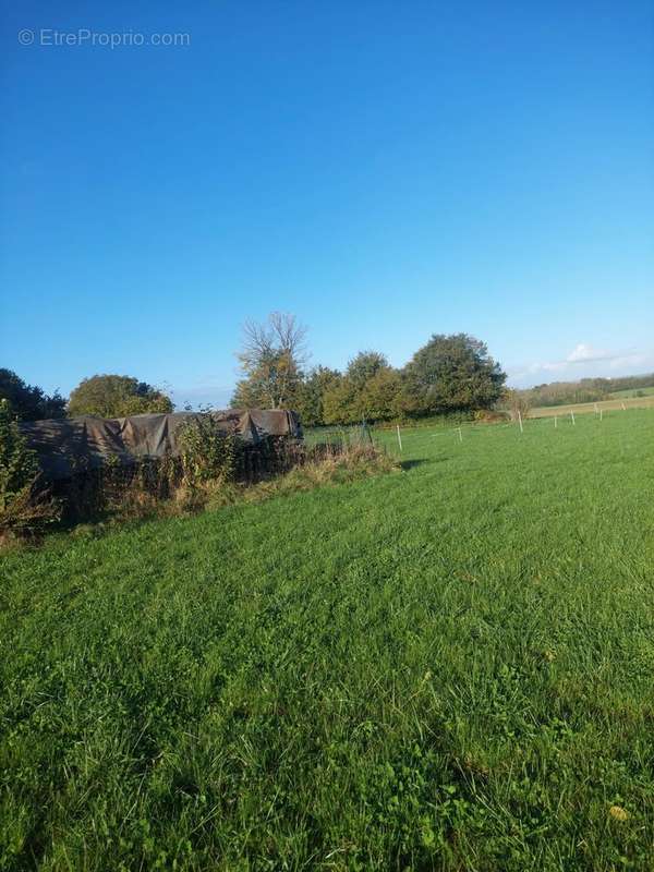 Terrain à BEAUMONT-EN-BEINE