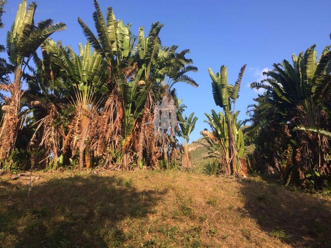 Terrain à BANOS