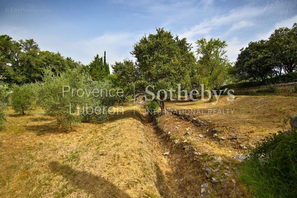 Terrain constructible d’exception à Gordes - photo 3