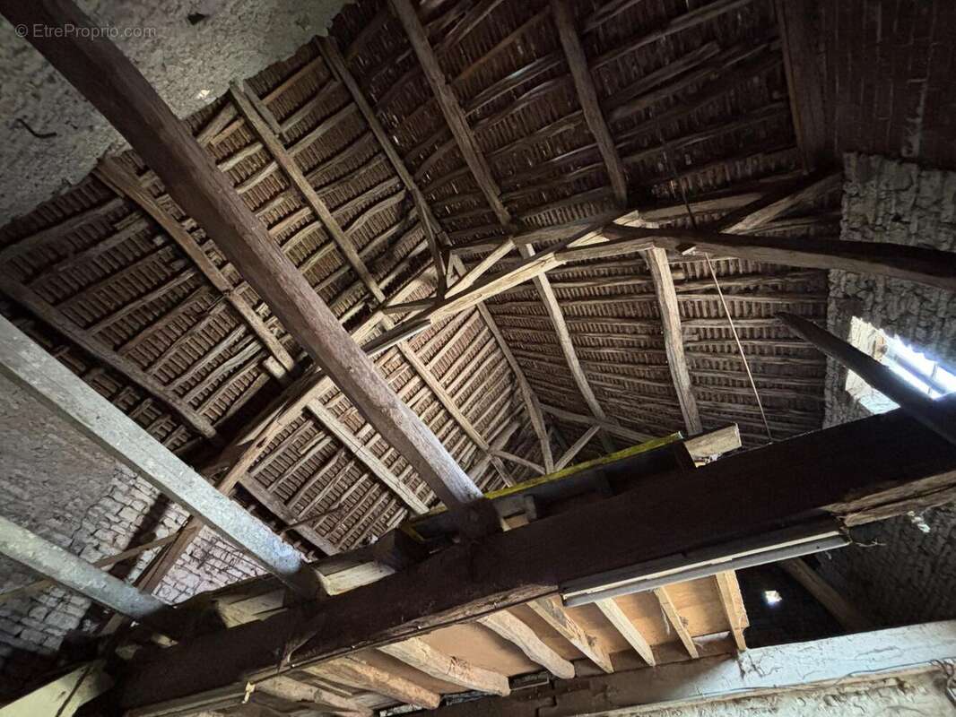 Photo 9 - Maison à AILLANT-SUR-THOLON