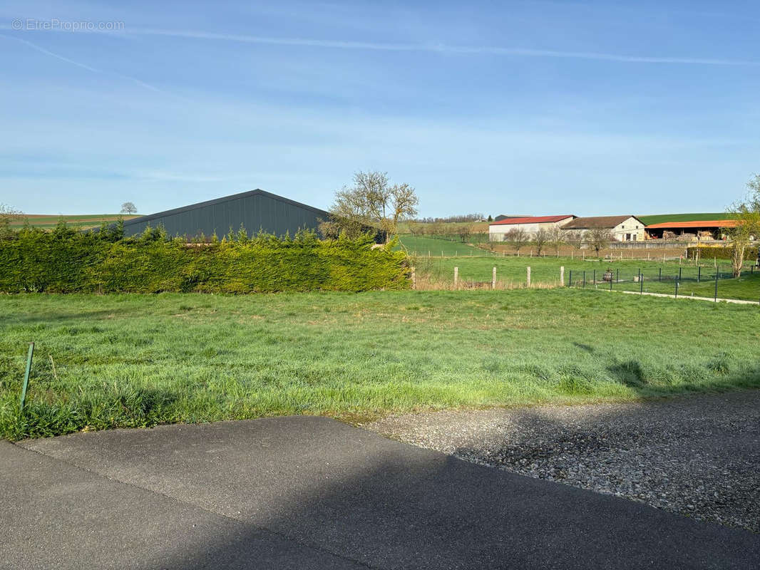 Terrain à RANTZWILLER