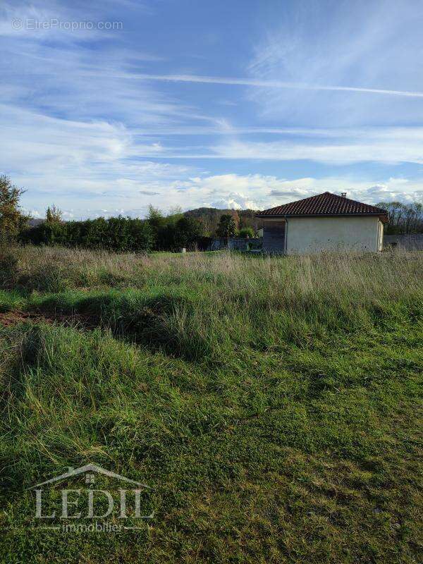 Terrain à BORDES