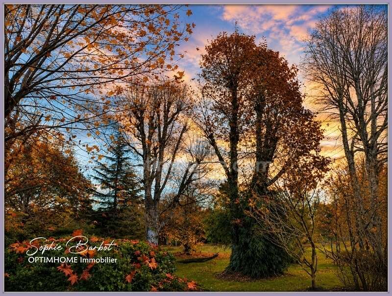 Exceptionnel à léognan, limite gradignan – propriété de caractère sur plus de 1,3 hectare de nature - photo 3